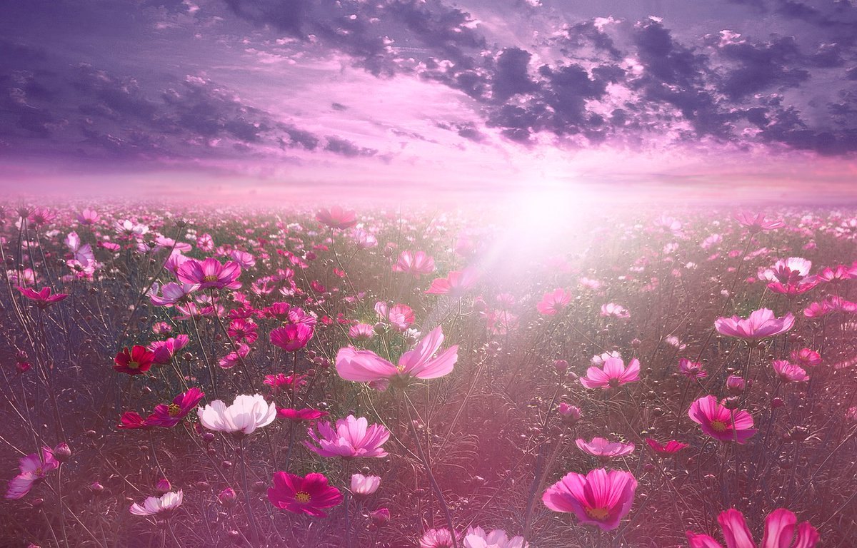 rafjuan's tweet photo. La vida te pondrá obstáculos, pero los límites te los pones tú. No permitas que lo que otros piensen, digan o hagan bloquee tu luz. Cuando tengas un objetivo, recuerda que el camino para conseguirlo es más importante que la llegada a la meta!! #FelizLunes #FelizSemana #BuenosDías https://t.co/ChfJAEgpD2