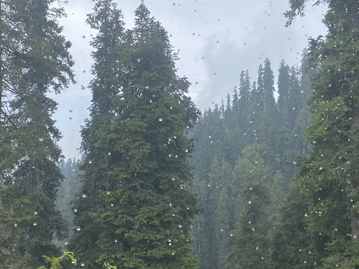 The views from the balcony in Nathiagali were magnificent - to say the least - on a clear day you could see well into Indian Occupied Kashmir