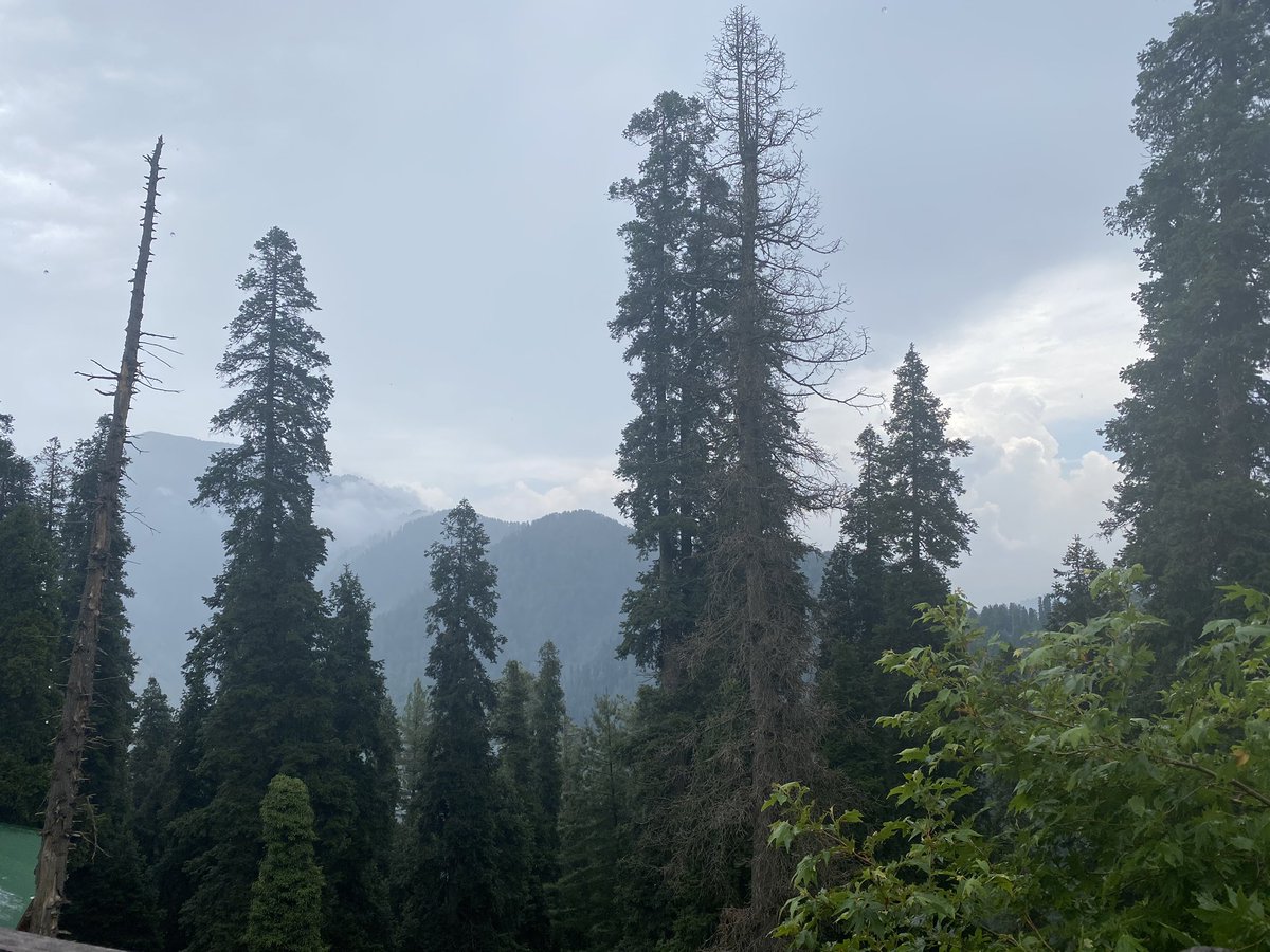 The views from the balcony in Nathiagali were magnificent - to say the least - on a clear day you could see well into Indian Occupied Kashmir