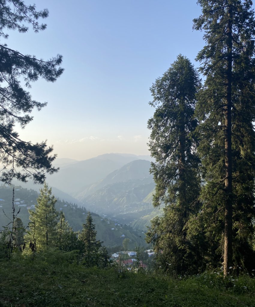 Found a quaint trail five minutes walks from the place I was staying with amazing views - the hills here in the background are AJK and the LoC