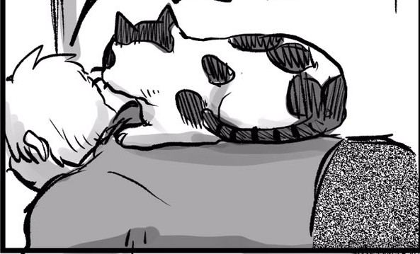 島袋全優さんの実家の猫さん漫画 おもちゃが隙間に入ったときの行動に猫さんと暮らす方たちが共感 爆笑 多分わざとなんです Togetter 島袋全優さんの実家の猫さん漫画 おもちゃが隙間に入ったときの行動に猫さんと暮らす方たちが共感 爆笑 多分わざとなんです Togetter