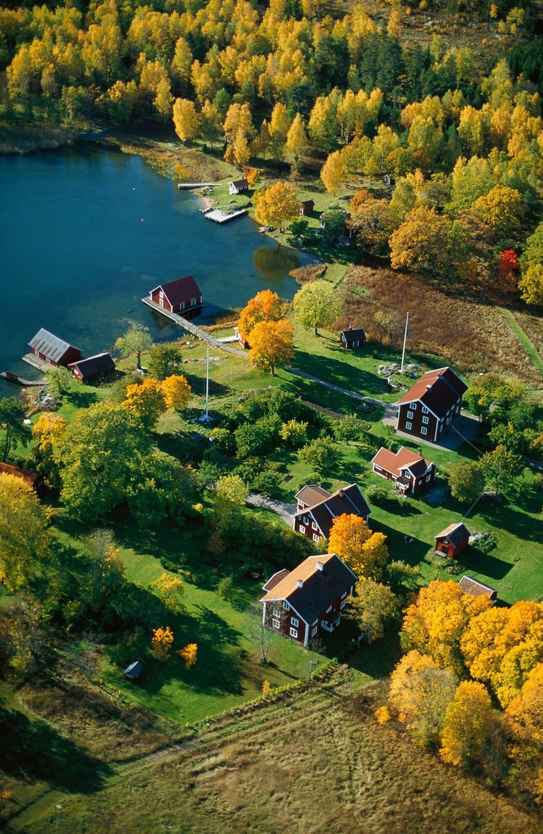 Tripoetic tweet media