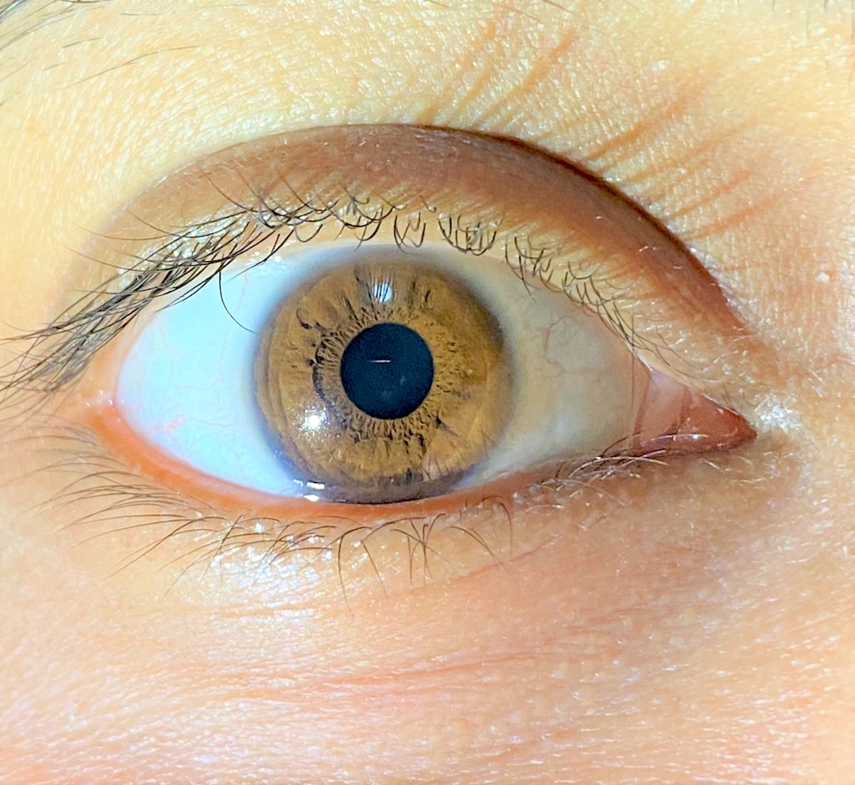 VisionResearch2 tweet picture