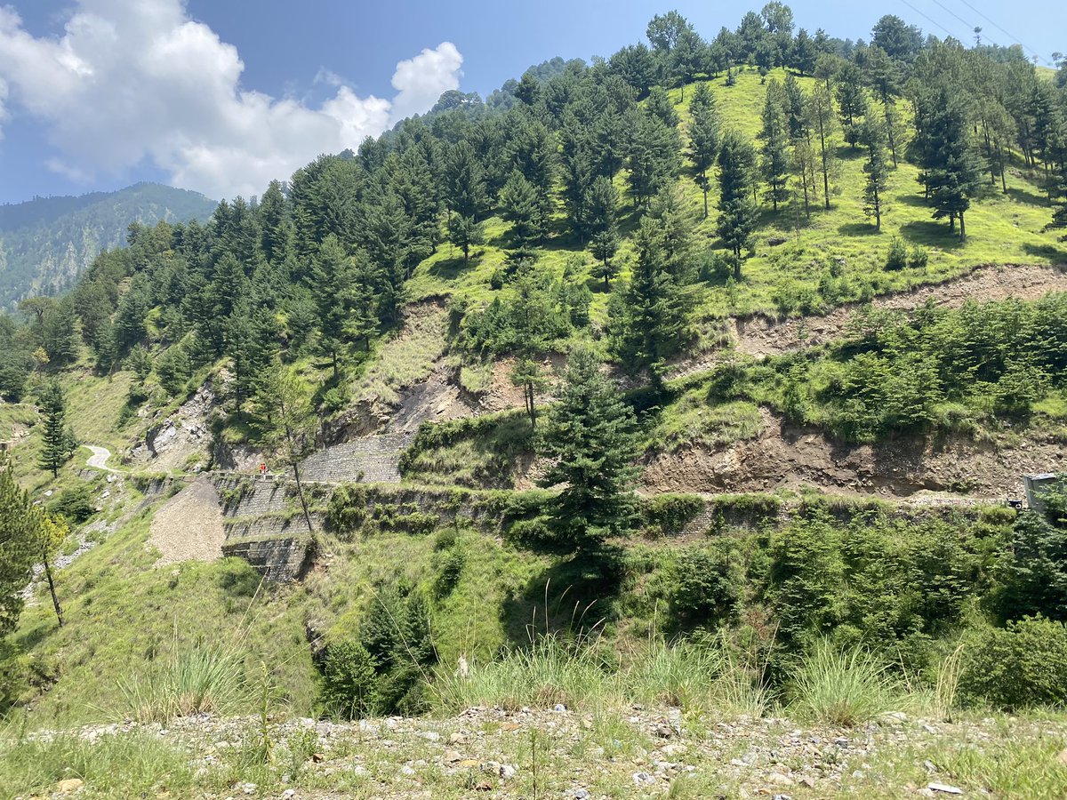 Took a trip to a mountain stream near the village of Namli Maira - that’s also the name of the local Union Council - was around 10 kms towards Abbottabad from Nathiagali - and lower and warmer - but the greenery was astounding
