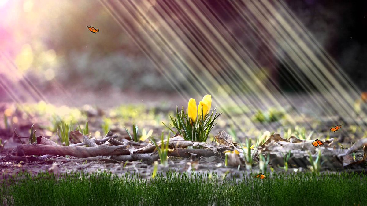 lemn sissay OBE FRSL tweet media