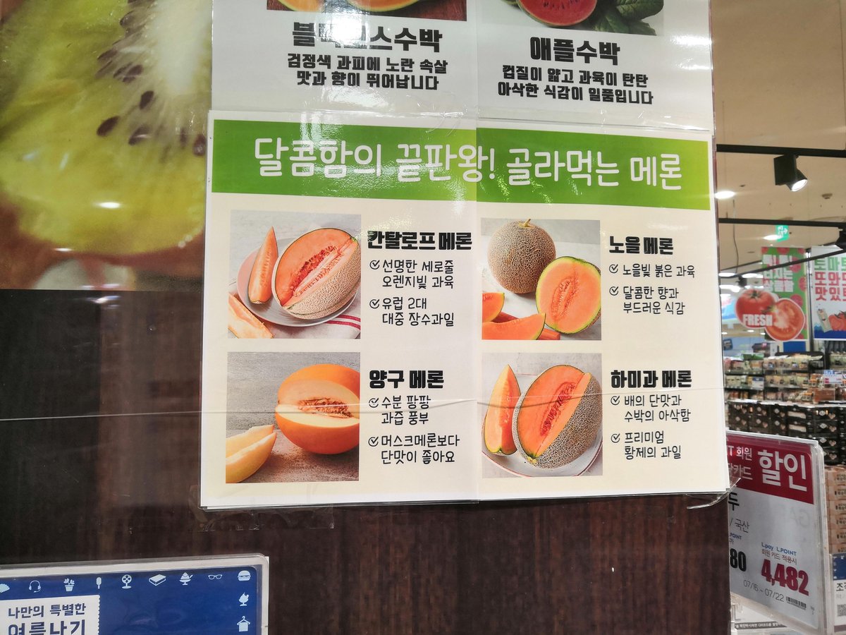 韓国の果物 韓国の果物