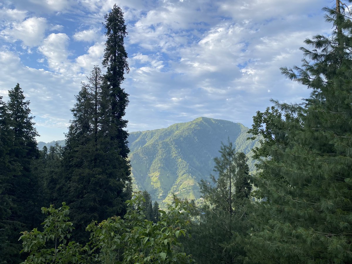 Next day went for a walk - with views of the local high peak Miranjani (9,800 feet) - a spot in Nathiagali by the church allows uninterrupted views of snowclad peaks - the snowy peaks in the far distance are Neelam Valley AJK (left) and Indian Occupied Kashmir (Gulmarg) (right)