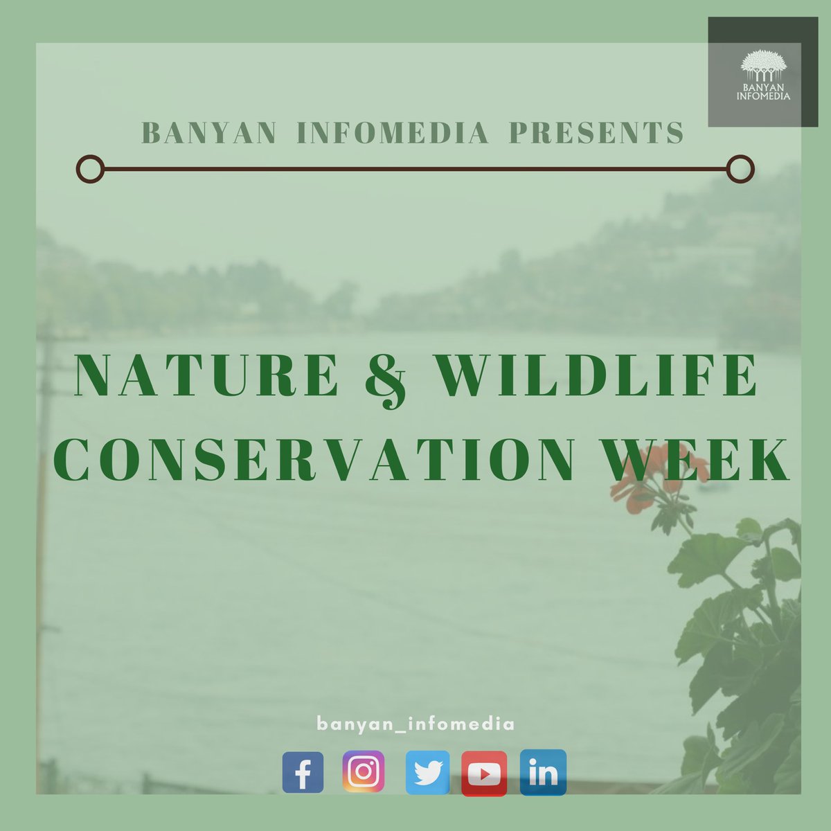 BanyanDigitalin's tweet photo. Welcome to Nature and Wildlife Conservation Week!🍃
Join team banyan to learn and spread awareness about preserving Mother Nature!🌏
#wildlife #wildlifeconservation #nature #worldnatureenvironmentday #internationaltigerday #mothernature #savetheplanet #conserve #preserve https://t.co/i9IdWnZN0z