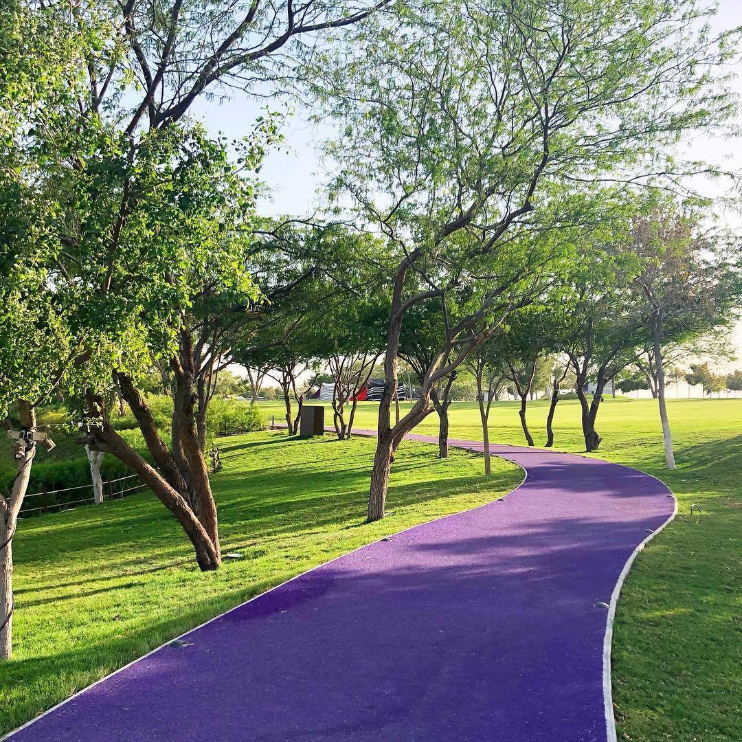 3. Purple Road:Purple road is located at the Katara Hills. A distinctive landmark and an eye-catching tourist destination. The Katara Hills is home to a diversity of plants and trees from different continents, serving as a meeting point for cultures and civilisations.