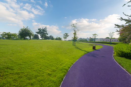 3. Purple Road:Purple road is located at the Katara Hills. A distinctive landmark and an eye-catching tourist destination. The Katara Hills is home to a diversity of plants and trees from different continents, serving as a meeting point for cultures and civilisations.