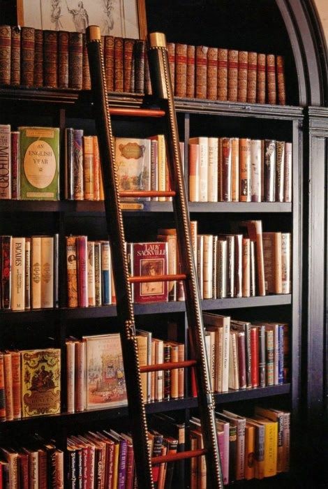 Betweenchasms's tweet photo. ༺ My stuff ༻
──────⊱◈◈◈⊰──────
“Eu devo tudo o que eu sou
 e tudo o que sempre serei 
aos livros.”

Gary Paulsen
──────⊱◈◈◈⊰────── https://t.co/WEPrdqSXNp