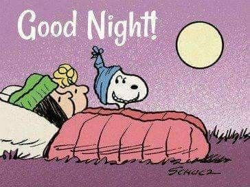 Snoopy Facts Good Night Snoopy Snoopyfacts Peanuts Goodnight