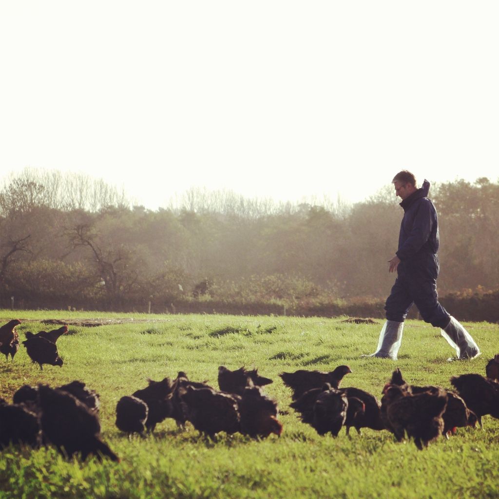 Its Norfolk Day! Support local and get a TNP Free Range Chicken for dinner. Celebrate today in style
#Norfolk #freerangechickens #Chicken #Food #freerange