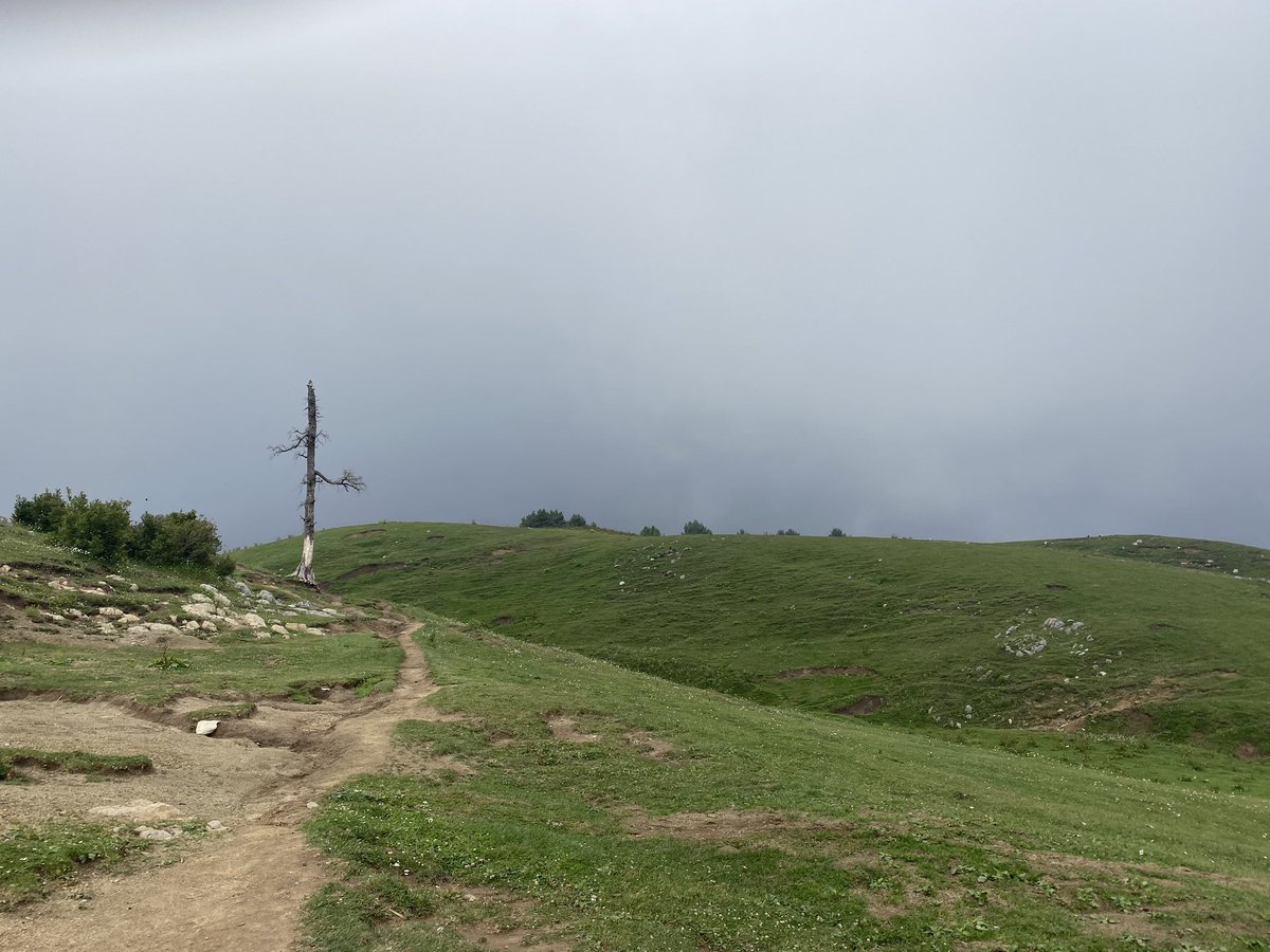 Climbed Mushkpuri Peak (9,210 feet) - path starts either in Nathiagali near Pines Hotel or from Dungagali Bazar - the hike takes 1.5-2 hours and passes through meadows & dense forest - this is the second highest peak in the area