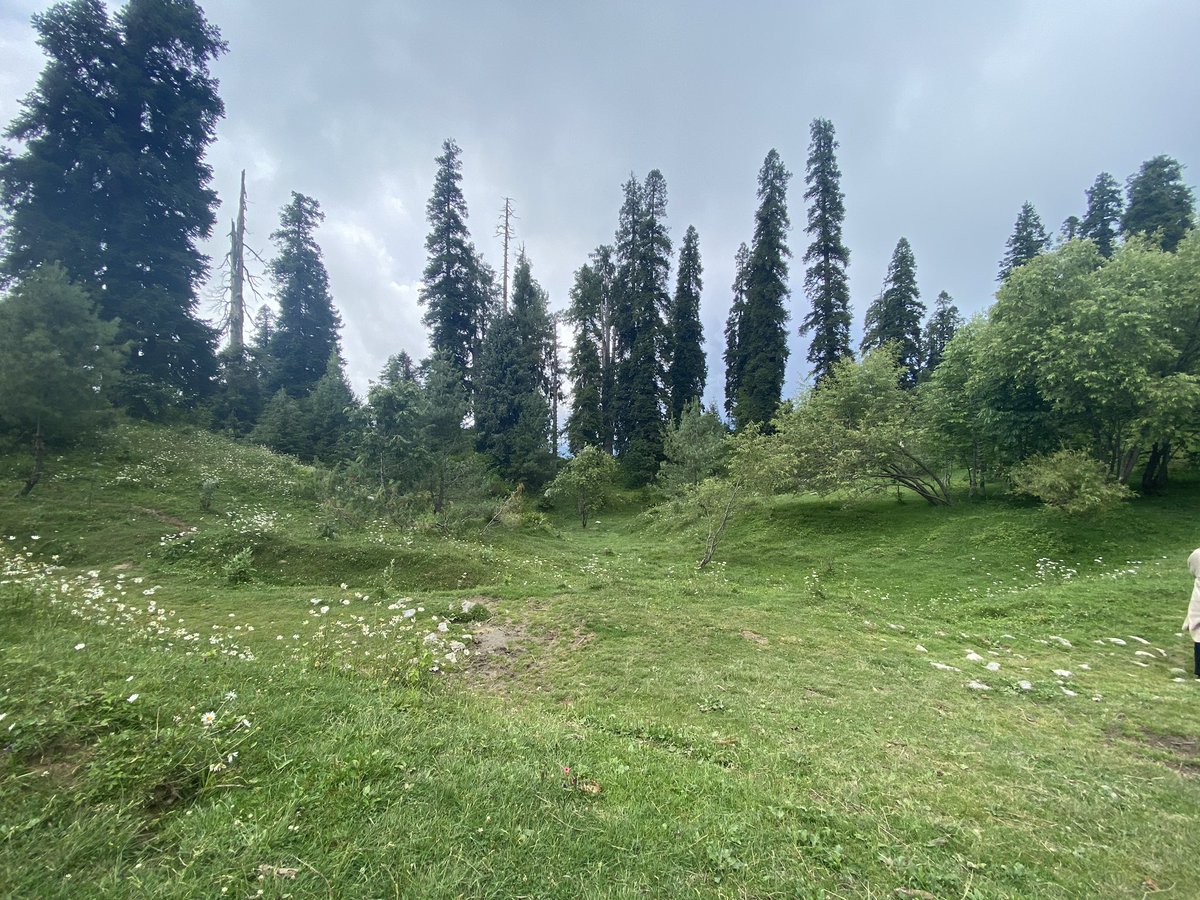 Climbed Mushkpuri Peak (9,210 feet) - path starts either in Nathiagali near Pines Hotel or from Dungagali Bazar - the hike takes 1.5-2 hours and passes through meadows & dense forest - this is the second highest peak in the area