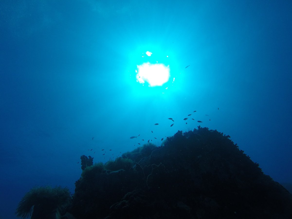 Bugtan's tweet photo. My dive,my life goals.

#Bugtan #fundive #KohTao https://t.co/RnWfGfxnmV