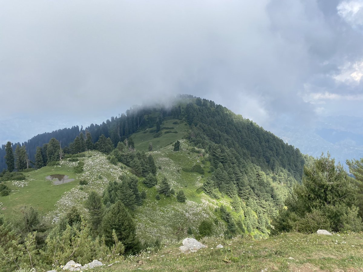 The views from the top of Mushkpuri Peak (9,210 feet) were fantastic - looking east you could see the Jhelum River winding its way from Indian Occupied Kashmir - on left are the mountains of Neelam and Leepa Valleys of AJK & Indian Occupied Kashmir is on right