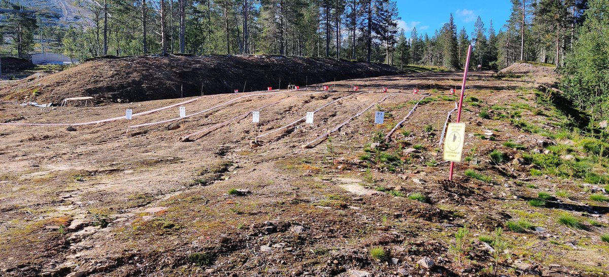 TommiUusimaki's tweet image. Lähtö alkaa oleen mintissä

#suunnistus #laplandoweek #yllas #y1