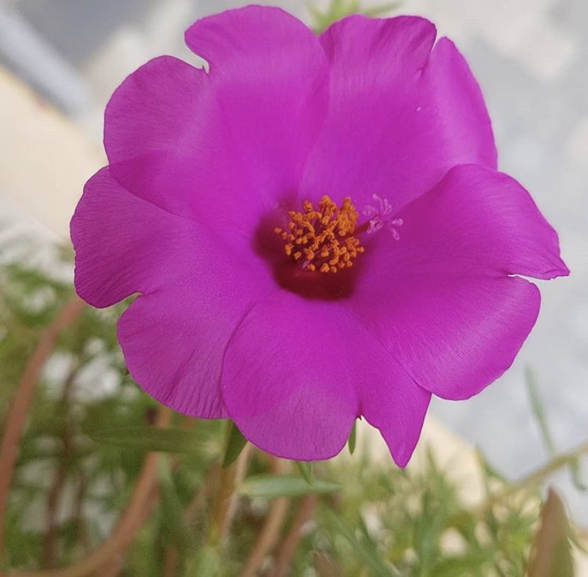 Günaydın Çukurova
Mutlu ve renkli bir hafta diliyoruz 🤗

#pazartesi