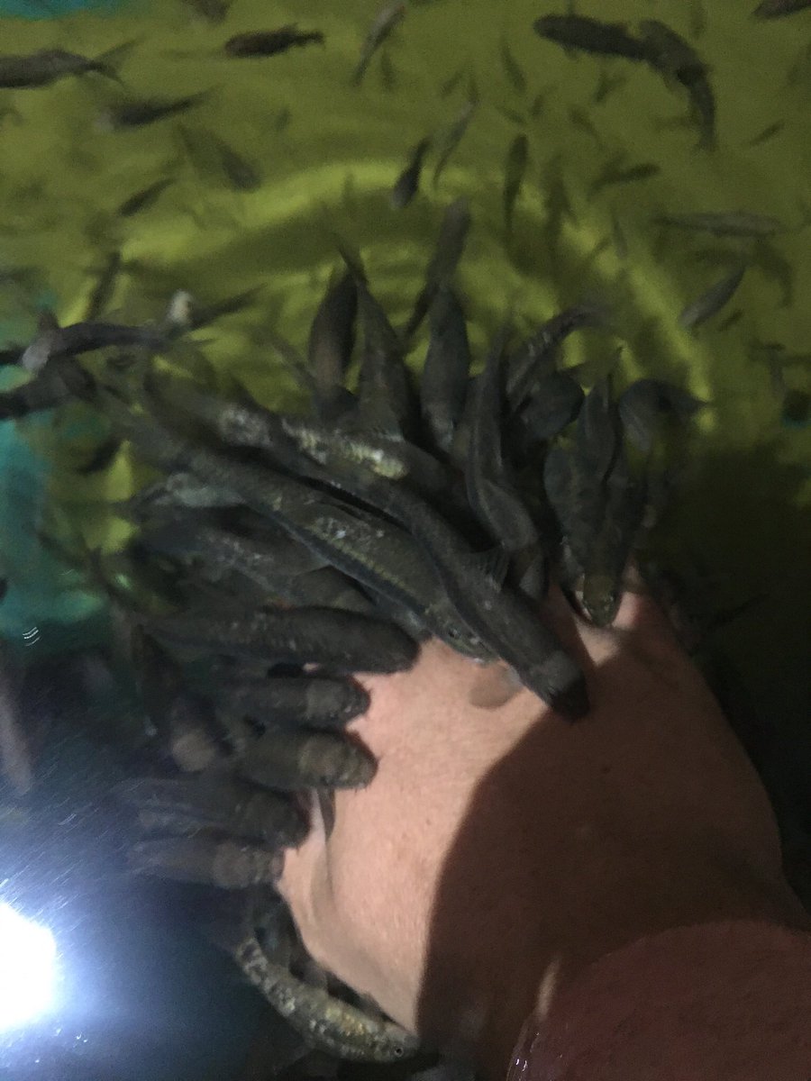 JGetowski's tweet image. 