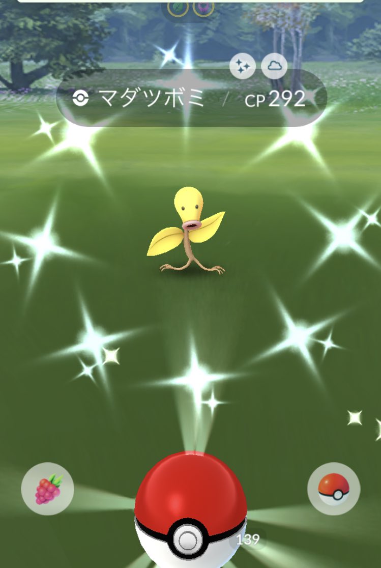 マダツボミ色違い