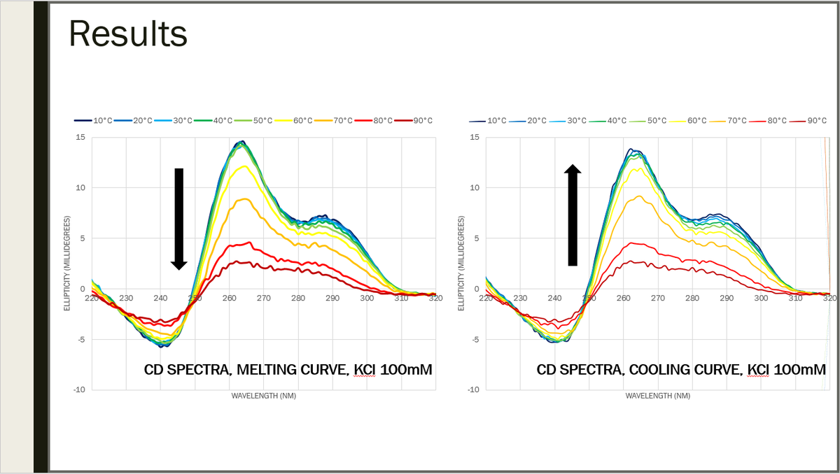 Both melting and cooling were also carried out to check the structure folds and unfold correctly. 25/29