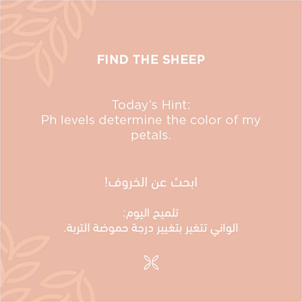 flowardCo's tweet photo. كم شخص منكم اكتشف مكان الخروف ؟ #findthesheep #ابحث_عن_الخروف 🐑🤩 https://t.co/8pdsHI3qiS