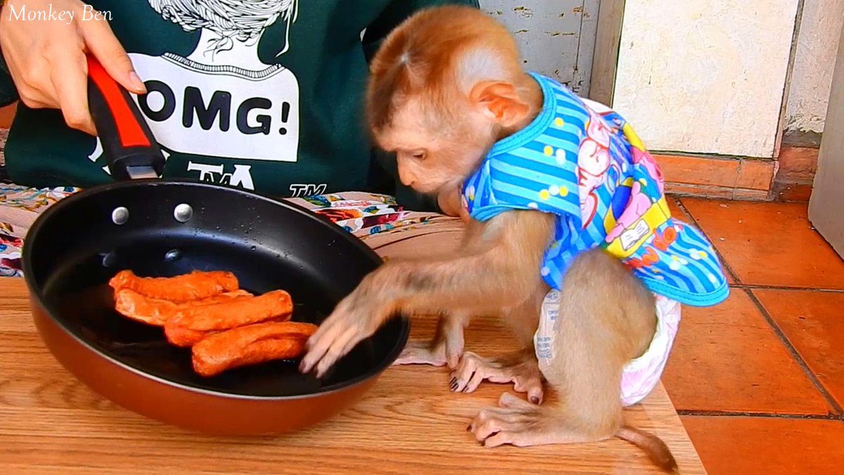 MonkeyBen3 tweet picture