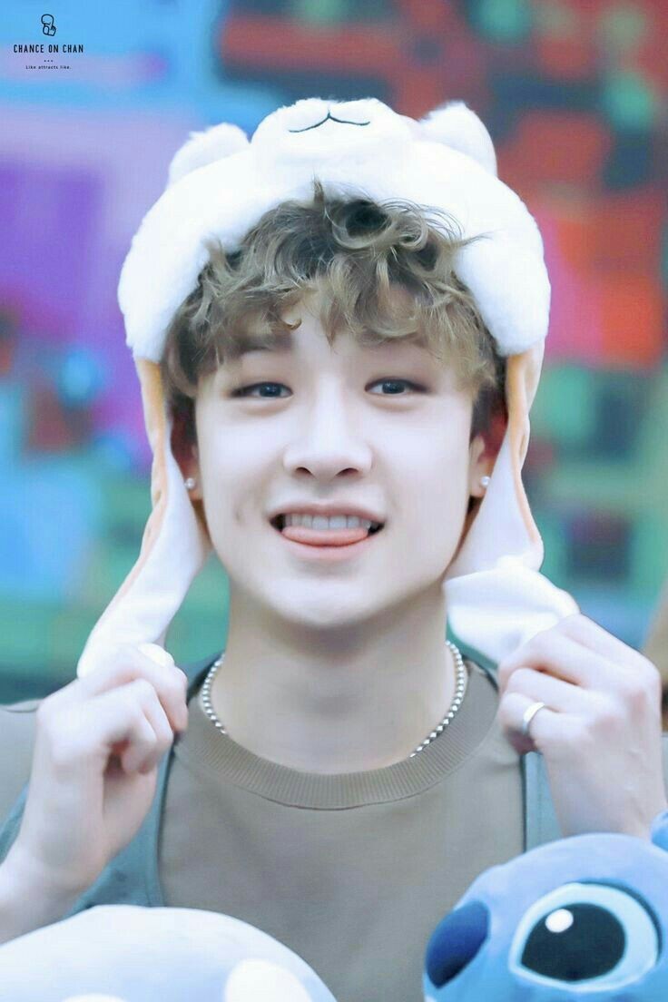 kevin tweet media