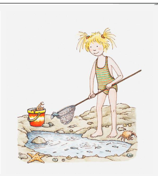 RPPLearning's tweet photo. Watch this space  for a rock pooling adventure story, with accompanying comprehension activities, that will be posted chapter by chapter on our social media! #Lizzie'smagicdiscovery https://t.co/BLrbLJ94KG