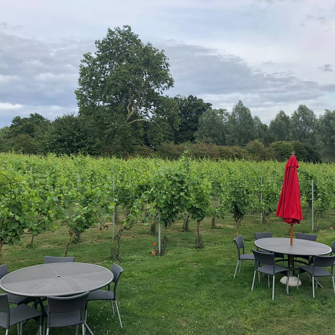<a href="/weststreetwine/">West Street Vineyard</a> thank you for a fabulous supper yesterday evening. Our first visit to your fabulous setting, delicious food and excellent service. A gem of a find. We will be back soon