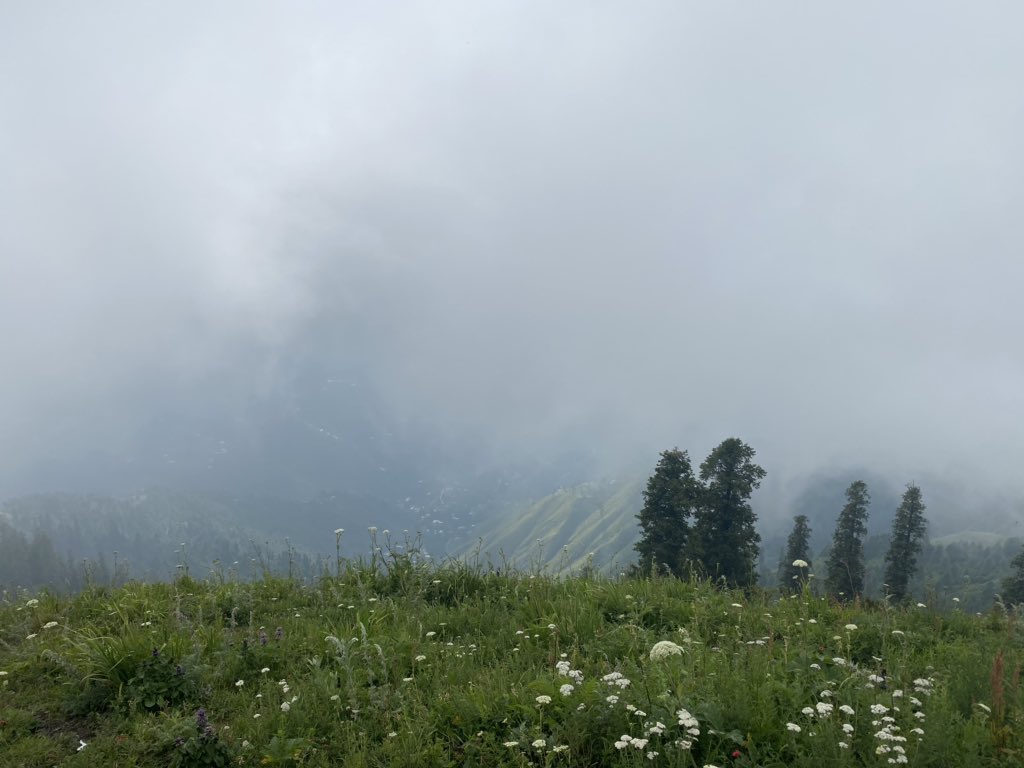 The views from the top of Miranjani are brilliant - if the skies are clear - looking north you can see the majestic Nanga Parbat on a clear day - unfortunately we were above the clouds when we reached the peak