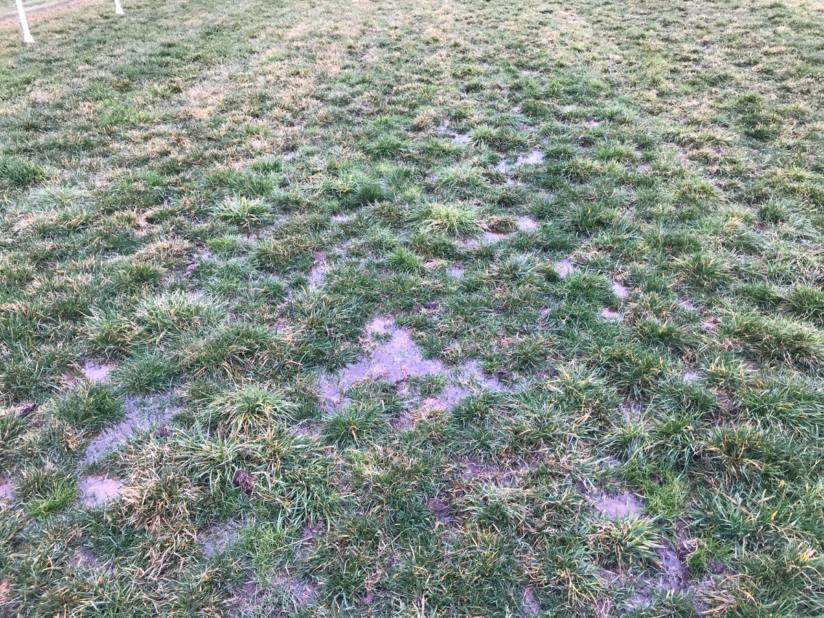 RNSWStewards's tweet image. Bathurst 28/7/20: Following a track inspection completed by stewards this afternoon, the Bathurst race meeting scheduled for tomorrow has been postponed due to surface water being present in multiple points of the track deeming it unsuitable for racing.