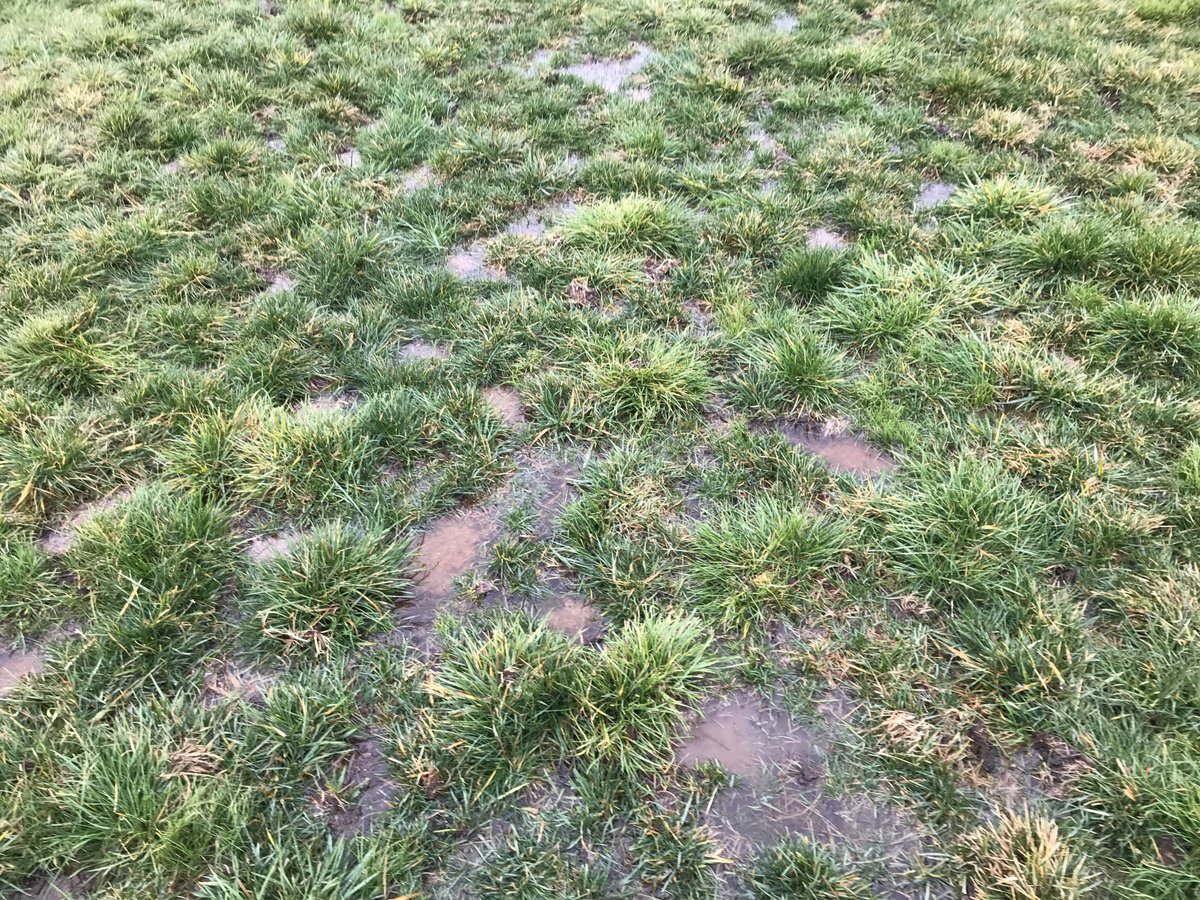 RNSWStewards's tweet image. Bathurst 28/7/20: Following a track inspection completed by stewards this afternoon, the Bathurst race meeting scheduled for tomorrow has been postponed due to surface water being present in multiple points of the track deeming it unsuitable for racing.