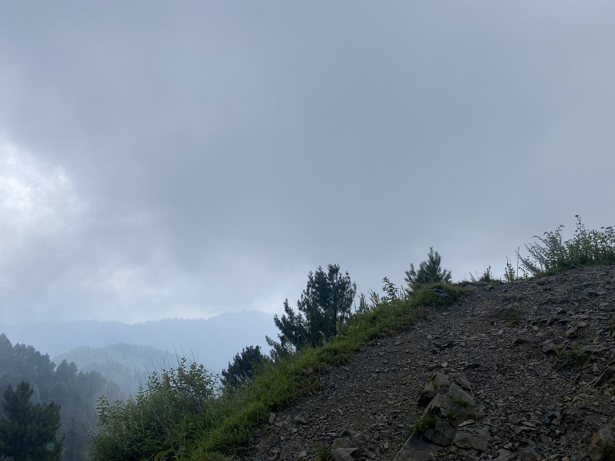 9,800 feet high Miranjani is the highest peak in Galyat and overlooks Nathiagali - a reasonably fit person can hike to its summit in 2-3 hours - the trail starts from below Governor’s House where one can drive up to - fantastic walk in dense forest - can be steep at times