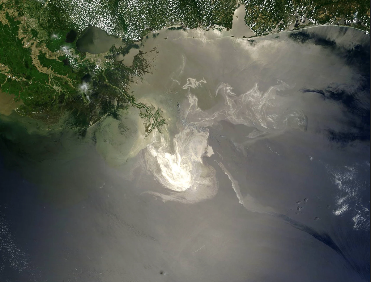 NASAEarth's tweet photo. From oil spills to invasive seaweed, the Gulf of Mexico faces plenty of invasive hazards. Response teams and wildlife managers can use @NASA data to track the extent of the threat. Read more: https://t.co/qYPcVLCpJH
#SpaceForUS https://t.co/m8DcdZ93W9