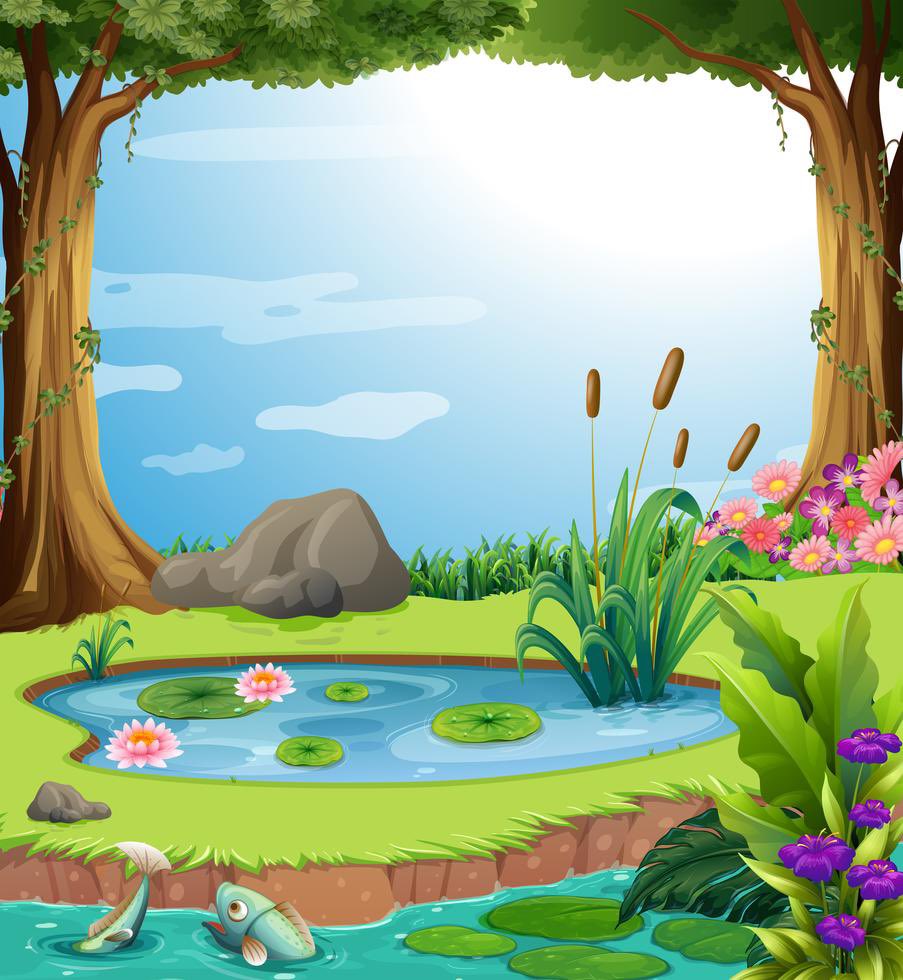 DuckBehavior's tweet photo. Ready for our fellow pond inhabitants to return 🥺🦆 !! The Pond misses you! 
Just a few more weeks ducks!
#DucksAnonymous #BirdBitches #birdsofafeather #ThePond https://t.co/JYkqUCJlGf