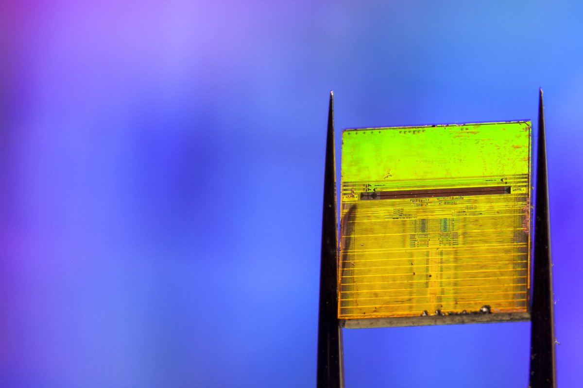 Indigo Diabetes concludes a €38 million round of financing indigomed.com/indigo-diabete… 
#diabetes #CGM #QualityOfLife #Indigo