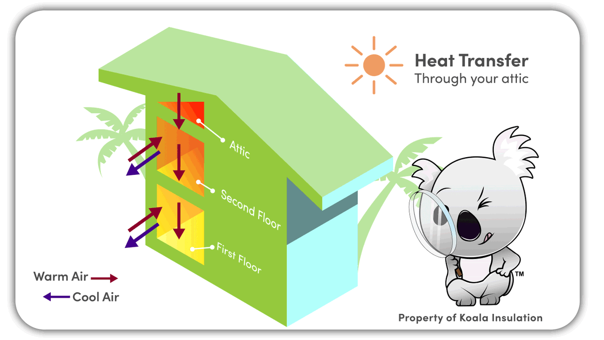 Koala Insulation HQ tweet media