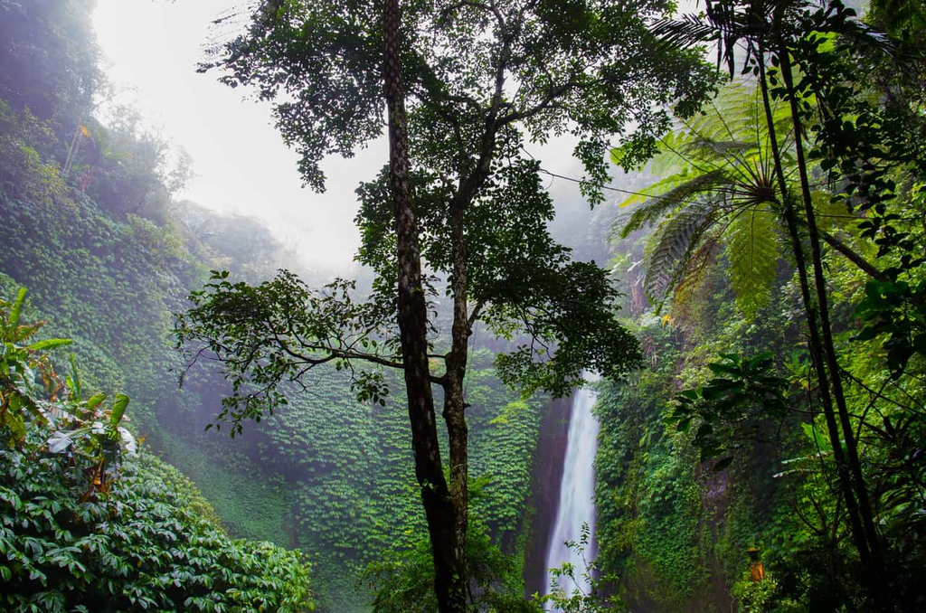 thrivesme's tweet photo. "Funding could also be an issue for this endeavor." https://t.co/Z9XTO17kJL #CarbonDioxide #ClimateChange #Deforestation https://t.co/V7CJupjwEl
