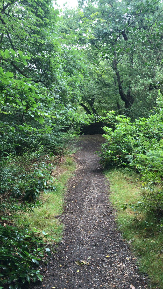 sbdtraining's tweet photo. Good morning, walking in the rain and the woods are alive as are we. Have an amazing Monday see you tonight. @DinahLiversidge @HelenMonument @SuperConnector @Lizkolokogreen @lucybrazier @dianabrandl #huginamug #breakfastclub #MondayMotivation #mondaynighttraining #grateful https://t.co/zu5aNXnOAk