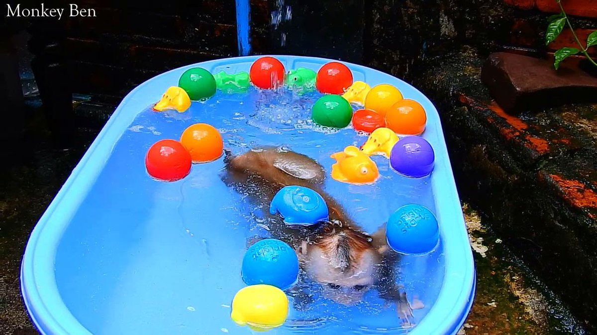 MonkeyBen3 tweet picture