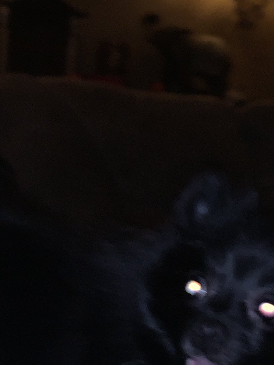 PizzelloVincent's tweet photo. your sleep paralysis demon https://t.co/b7NSH2XABR