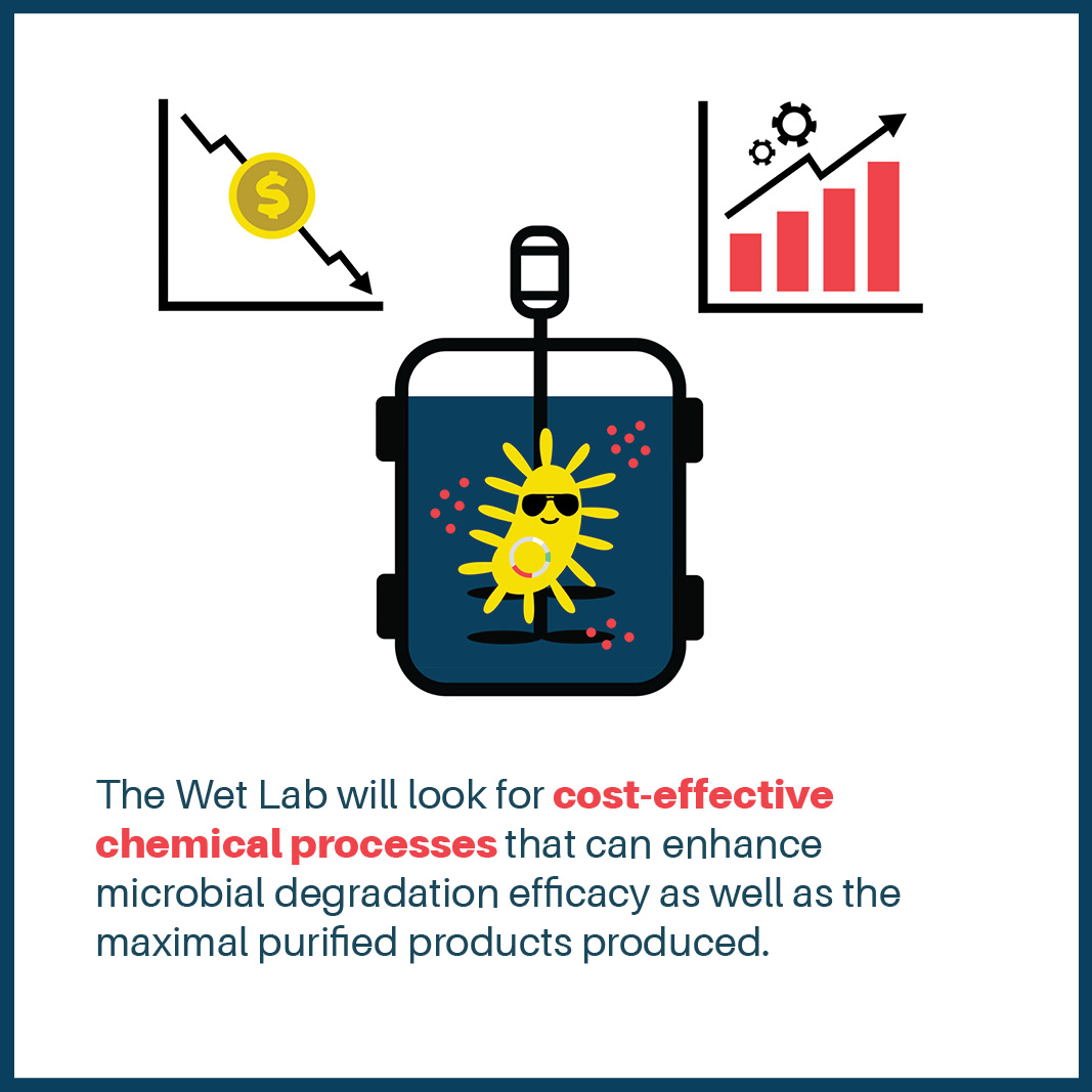 Wet Lab’s final stage includes designing a cost-effective bioreactor that can maximize the purified product yield as well as support the optimal efficacy of microbial degradation. This bioreactor can be used in industrial circular economies to degrade and obtain PET byproducts.