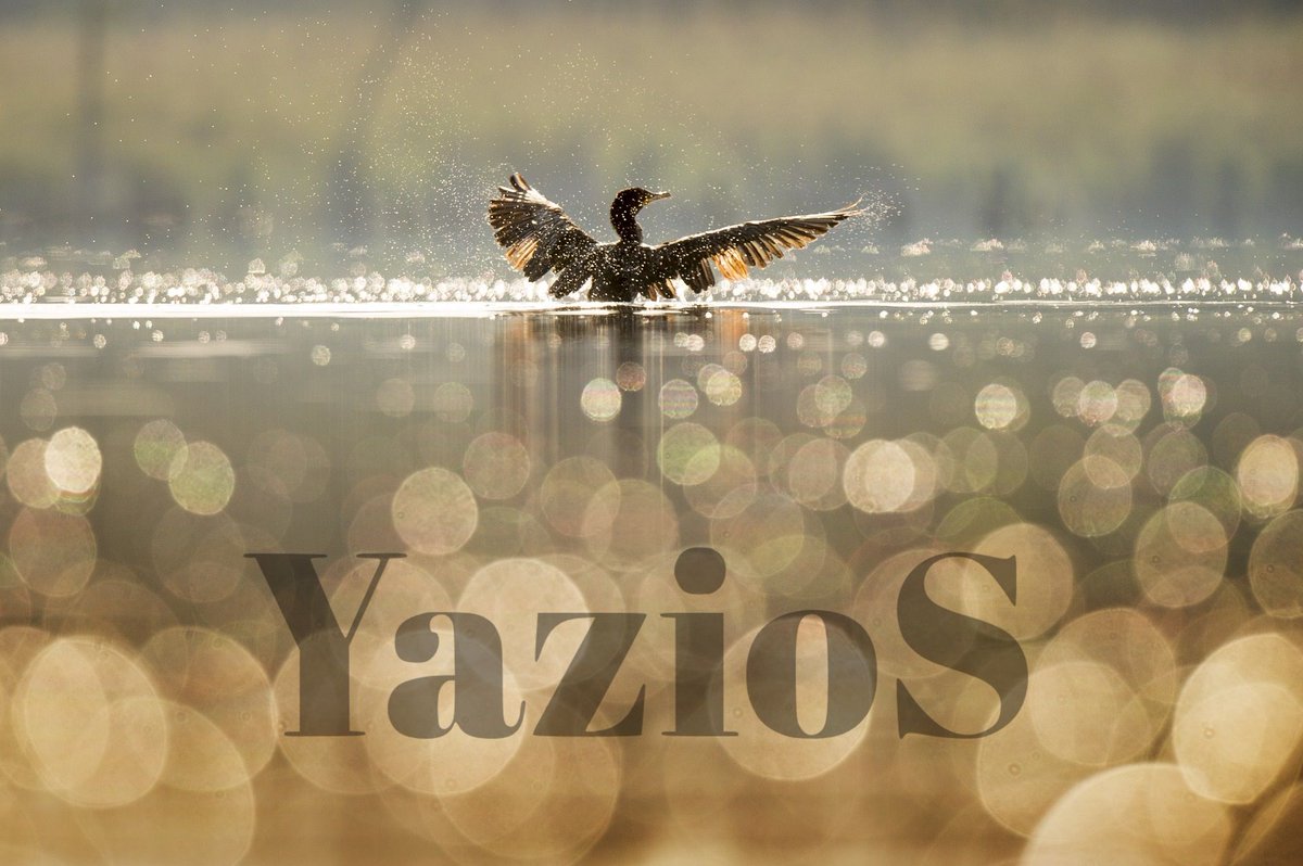 İyi haftalar sevgili takipçi. :)

#Pazartesi #İyiHaftalar #Blog #ContentWriting