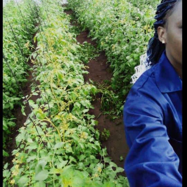 eccentricangela's tweet photo. "I work hard, pray hard, pay dues"
-"I got stamina"
๐ง #thegreatest~ #sia & #kendricklamar
#womeninagriculture #entrepreneurship #greengold #TechShelta https://t.co/aQuSl1vw4K