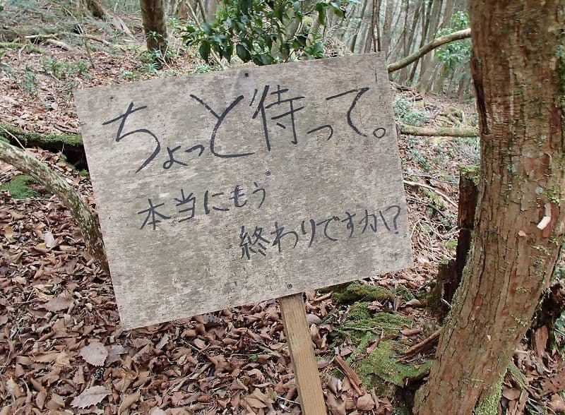 Another example is Aokigahara suicide forest near Mt. Fuji (these are counted), but how many others such places, where the chance of being found are almost 0 (70k Japanese are lost every y (85k if we add the ones with dementia). This number is stable for the last 10 years. 6/?