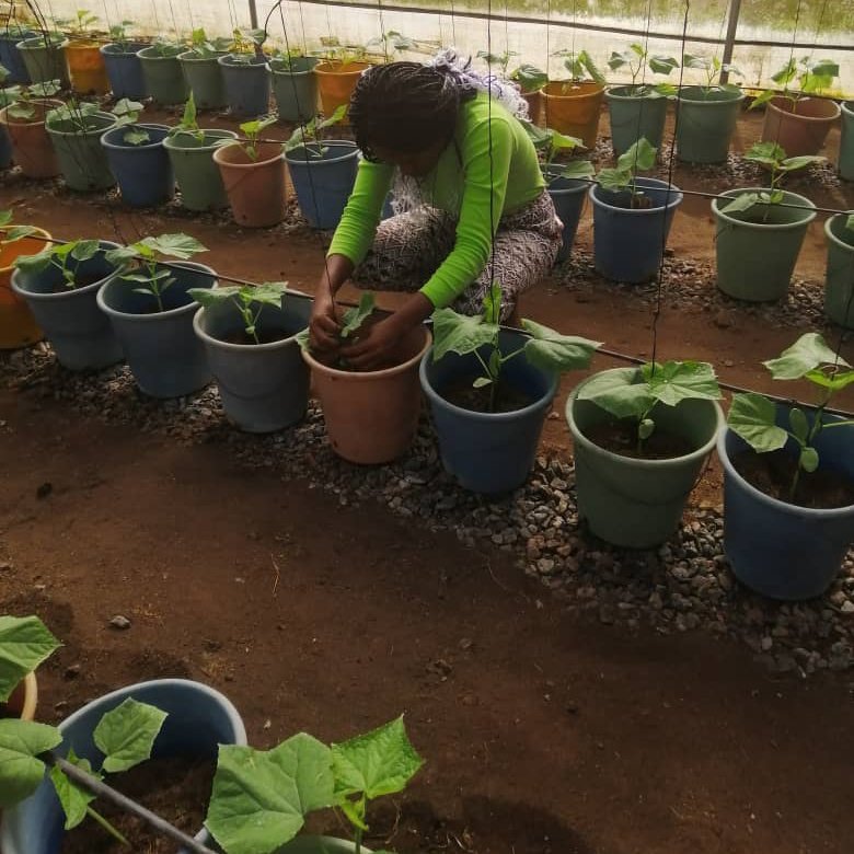 eccentricangela's tweet photo. "I work hard, pray hard, pay dues"
-"I got stamina"
๐ง #thegreatest~ #sia & #kendricklamar
#womeninagriculture #entrepreneurship #greengold #TechShelta https://t.co/aQuSl1vw4K