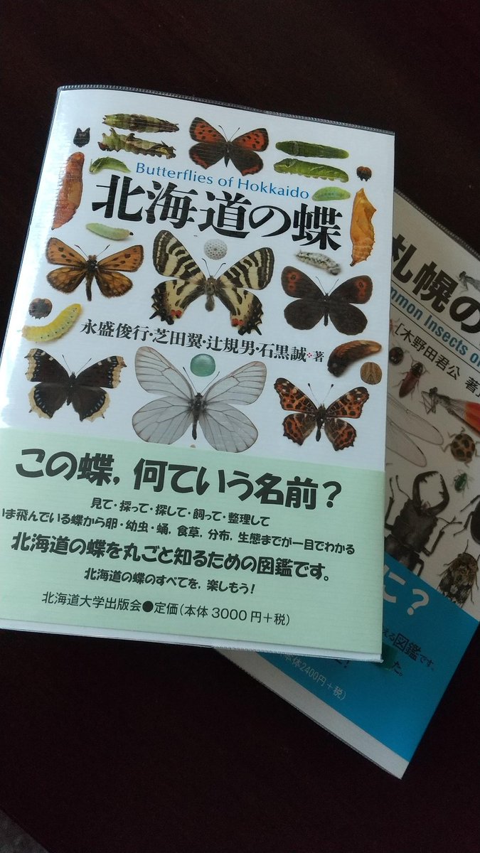 昆虫図説 昆虫文献 蛾類関連書籍4冊セット Theむし 昆虫図鑑4200種 | 田下昌志, 丸山潔, 降旗進一郎, 福本