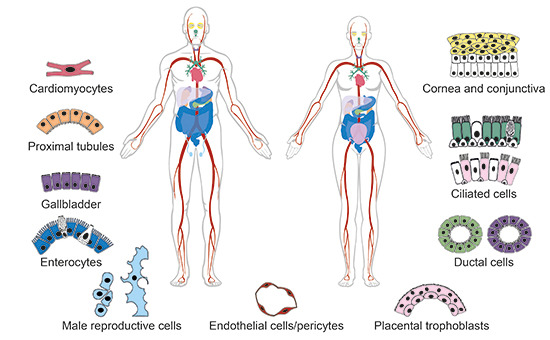 Mol Syst Biol tweet media